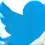 Twitter icon